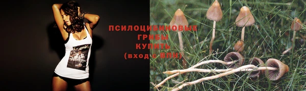 марки nbome Богородицк