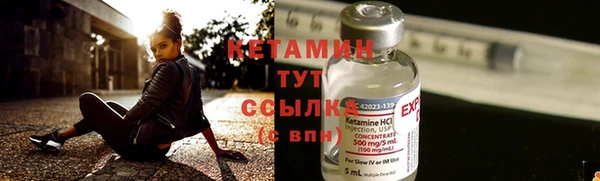 PSILOCYBIN Алагир