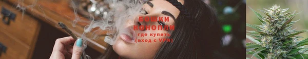 PSILOCYBIN Алагир