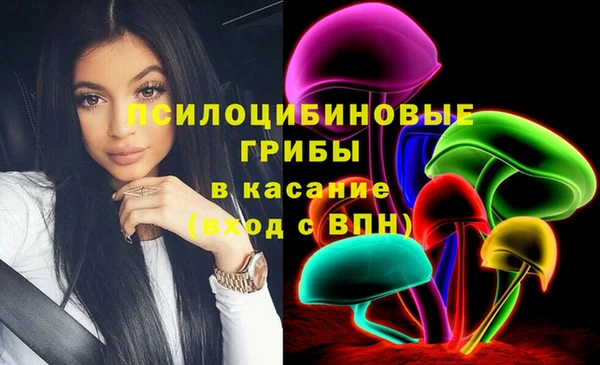таблы Богородск