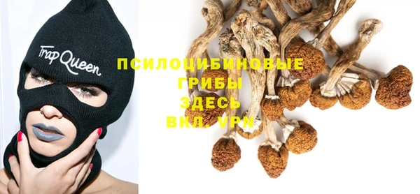 таблы Богородск